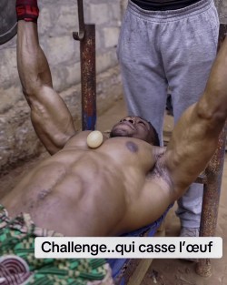 Treeover Kouka Treeover Kouka